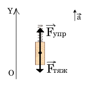 ОГЭ по физике (динамика) - брусок на пружине